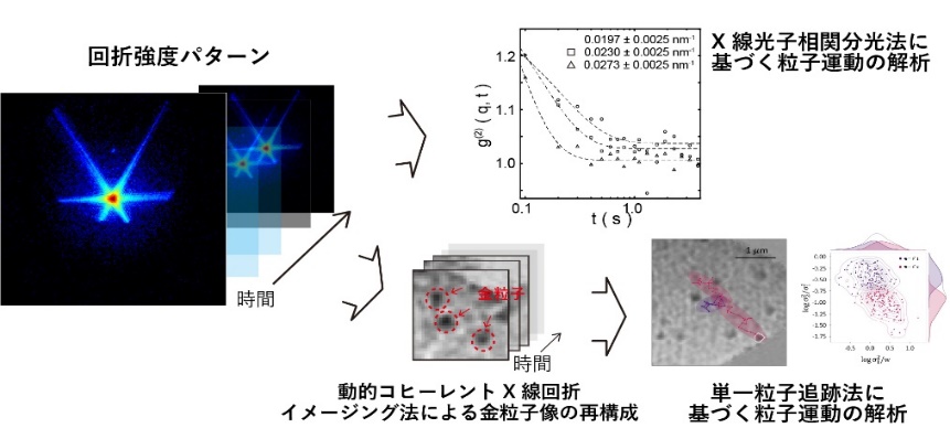 研究成果・プレスリリース | SRIS 国際放射光イノベーション・スマート研究センター